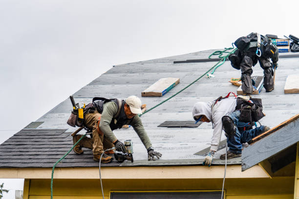 Professional Gutter Installation technician working in Farmville, VA